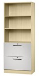 aktenschrank guenstig buero regal